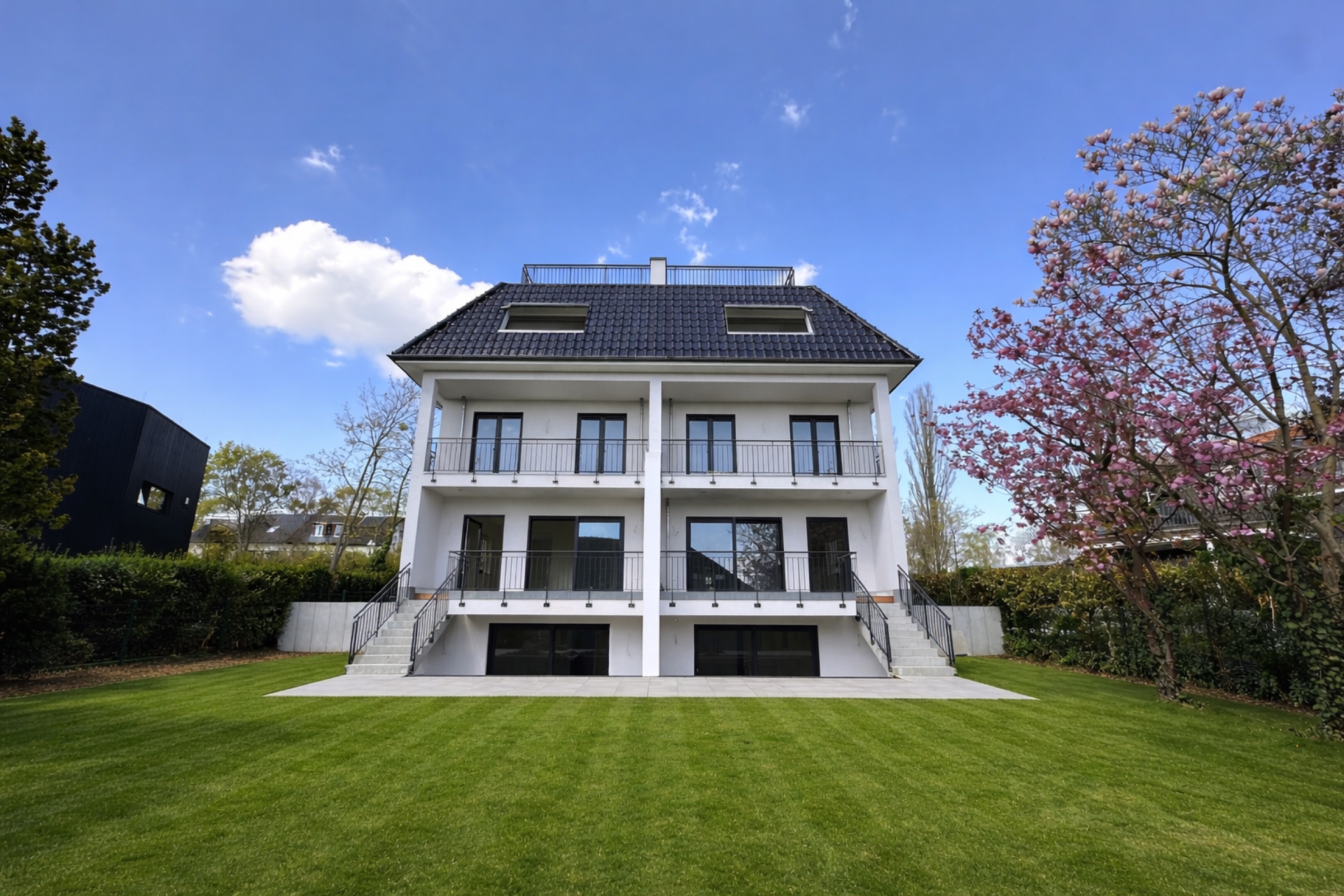 THE WINGS — Gartenseite mit Rasen und Magnolie in Blüte
